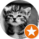 Military Cadet profile picture